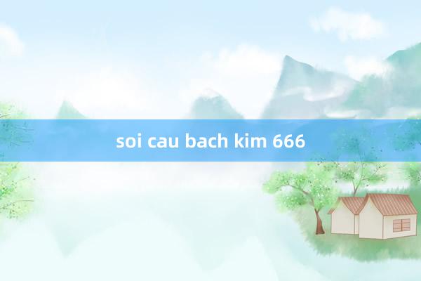 soi cau bach kim 666