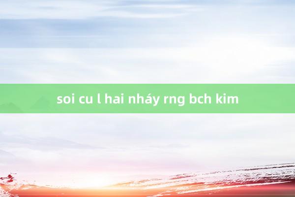 soi cu l hai nháy rng bch kim