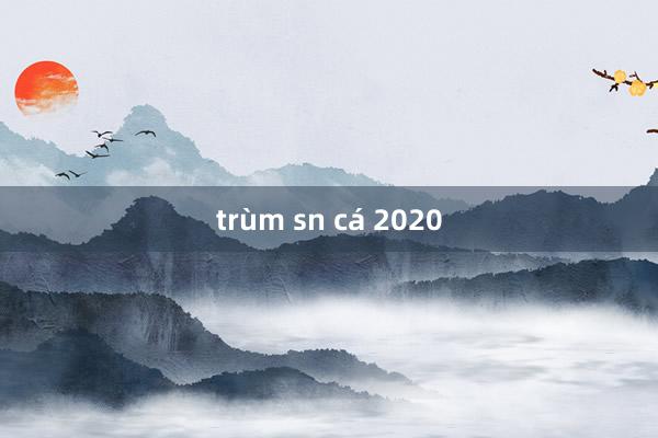 trùm sn cá 2020