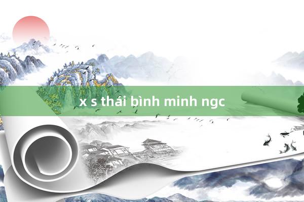 x s thái bình minh ngc