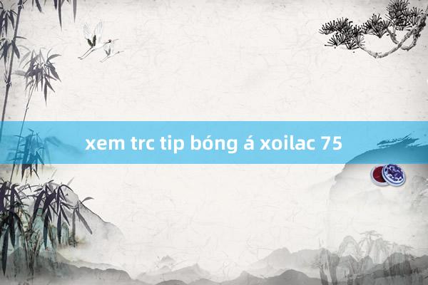 xem trc tip bóng á xoilac 75