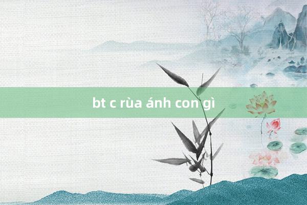 bt c rùa ánh con gì