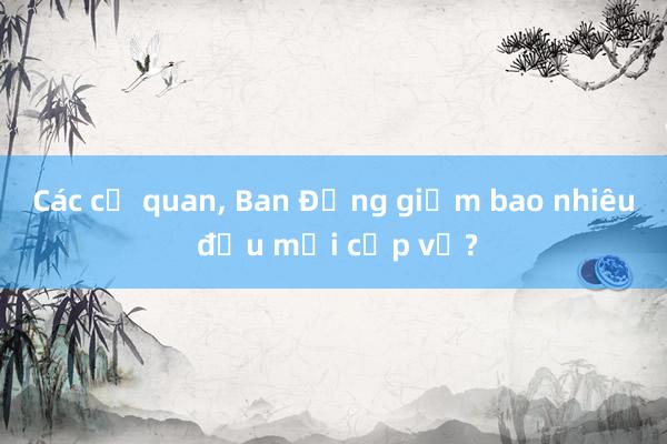 Các cơ quan， Ban Đảng giảm bao nhiêu đầu mối cấp vụ?