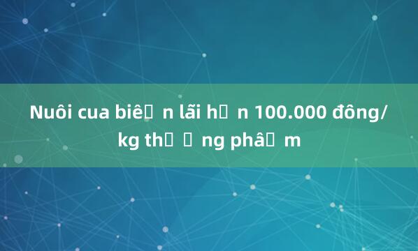 Nuôi cua biển lãi hơn 100.000 đồng/kg thương phẩm