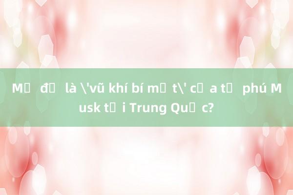 Mẹ đẻ là 'vũ khí bí mật' của tỷ phú Musk tại Trung Quốc?